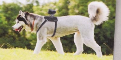 Sony presenta un nuevo arnés para perros