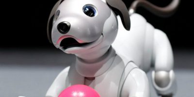 aibo robot